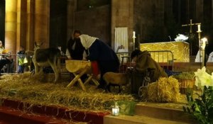 Une crèche vivante pour la Veillée de Noël à Saint-Dié-des-Vosges