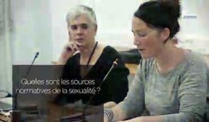 Questions à Yaëlle AMSELLEM-MAINGUY (INJEP) - droits sexuels et reproductifs - cese