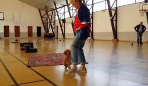 En Alsace, Marie-France Mattern danse avec son caniche Clips