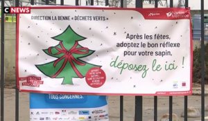 Que faire de son sapin de Noël ?