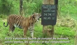 Inventaire annuel des animaux du zoo de Londres