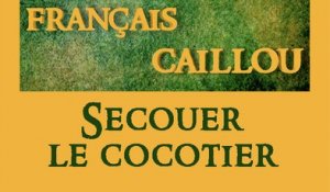 Français caillou / Définition du jour : Secouer le cocotier