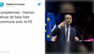 Élections européennes : Benoît Hamon dit non à une « liste commune » avec le PS