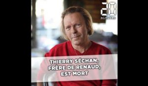 Thierry Séchan, frère de Renaud, est mort