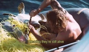 Un homme délivre quatre tortues bloquées dans un filet de pêche