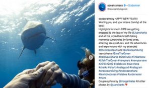 Défendre les requins sur Instagram