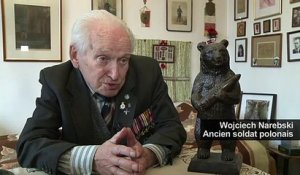 Un vrai "ours soldat", héros polonais de la 2e Guerre mondiale