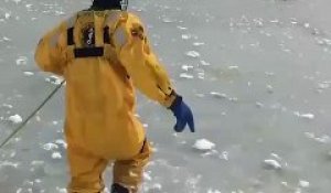 Un homme courageux tente de sauver un chien prisonnier dans un lac gelé !