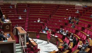 3ème séance :  Loi de programmation 2018-2022 et de réforme pour la justice ; Renforcement de l'organisation des juridictions - Mardi 15 janvier 2019