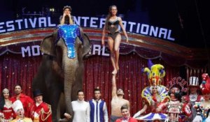 Cirque sans animaux : Stéphanie de Monaco ne décolère pas