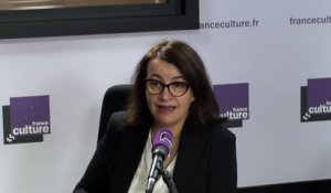 Cécile Duflot : "La France ne respecte pas ses engagements en matière climatique"