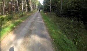 Vidéo buzz : Une biche passe juste devant le cycliste.