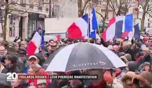 "Foulards rouges" : les premiers manifestants dans Paris