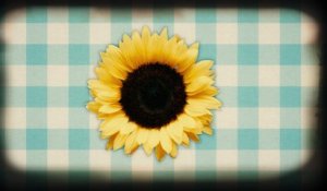 Neil Diamond - Sunflower