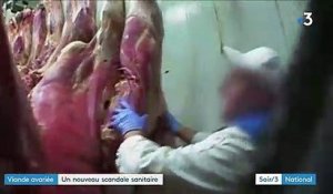 Pologne : un scandale de viande avariée touche la France