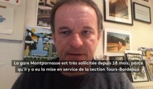 Panne à la gare Montparnasse : "La gare est très sollicitée depuis 18 mois", explique un spécialiste des transports