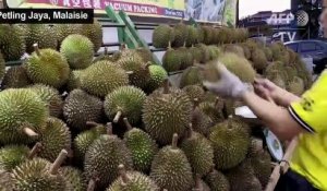 L'appétit chinois pour le durian menace les forêts de Malaisie