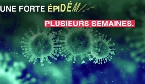 Epidémie de grippe : la région Nouvelle-Aquitaine est la plus touchée