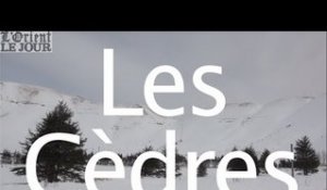 Stations de ski au Liban : suivez le guide. Les Cèdres (4/6)