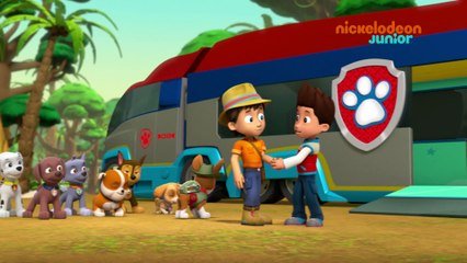 Paw Patrol La Pat Patrouille L Anniversaire De Carlos Nickelodeon Junior Sur Orange Videos