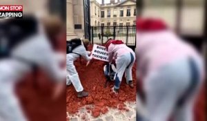 Des militants déversent de la boue devant le Ministère de l'Écologie (vidéo)