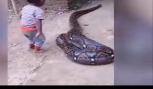 Ce bébé joue avec un énorme serpent... même pas peur