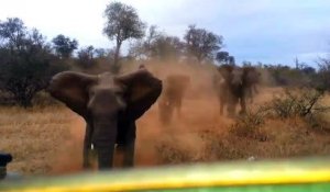 Un éléphant renverse une Jeep pleine de touristes terrifiés