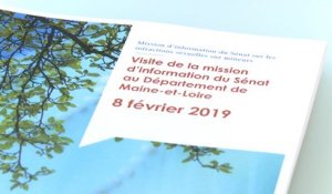 [Pédocriminalité] Déplacement de la MCI « Infractions sexuelles commises  sur mineurs  » dans le Maine-et-Loire