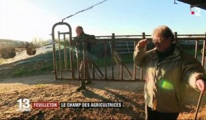 Feuilleton : le champ des agricultrices (1/5)
