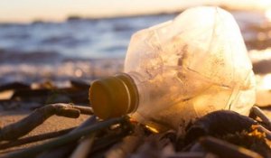 Pollution des océans : le plastique jusque dans nos assiettes