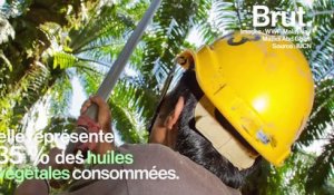 Comment remplacer l'huile de palme ?