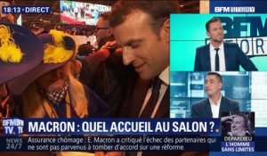 Emmanuel Macron: Quel accueil au Salon de l’Agriculture ?