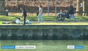 Essonne : quand des pêcheurs de métal nettoient la Seine