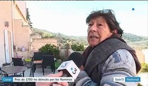 Corse : 1 700 hectares partis en fumée