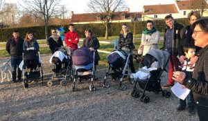 Près d’Argentan, des arbres plantés pour chaque naissance dans le village