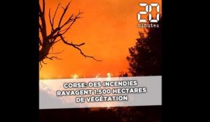 Corse: Des incendies ravagent 1.500 hectares de végétation