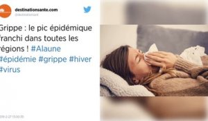 Grippe. Le pic de l’épidémie franchi dans toutes les régions