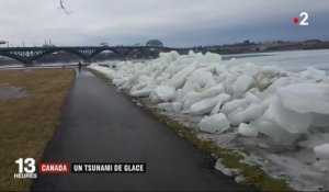 Un tsunami de glace dans la région des Grands Lacs