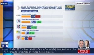 Européennes: une liste "gilets jaunes" ne recueillerait que 3% des voix selon un sondage