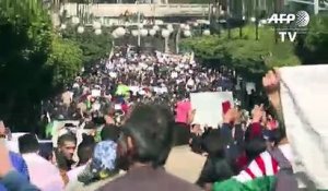Contestation en Algérie: des milliers de personnes défilent à Alger (3)