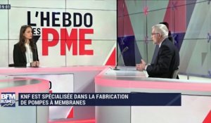 L’Hebdo des PME (1/4): entretien avec Albert Grebil, KNF France - 02/03