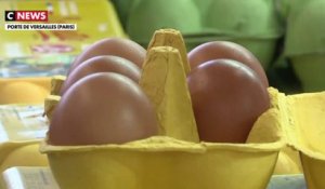 Le boom des œufs issus d'élevages alternatifs