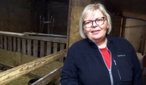 Pégairolles-de-l'Escalette : naissances à l'élevage de chèvres