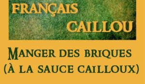 Français caillou / Définition du jour : Manger des briques (à la sauce cailloux)