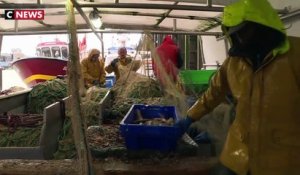 Brexit : les pêcheurs français redoutent une guerre commerciale