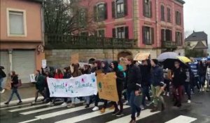 Sarreguemines : les lycéens défilent pour le climat