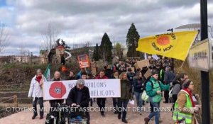 400 personnes mobilisées pour la marche pour le climat à Saint-Dié-des-Vosges