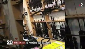 Armes à feu : le paradoxe néo-zélandais