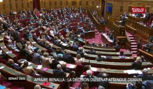 Violences à Paris / Jacques Toubon / Affaire Benalla - Sénat 360 (20/03/2019)