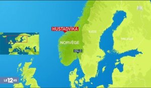 Norvège : le Viking Sky est en route vers un port refuge